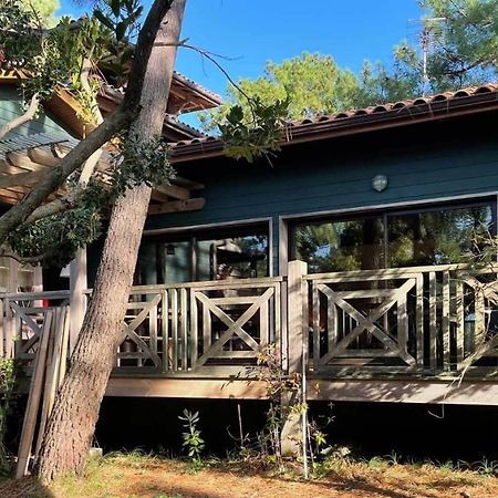 Yamina Lodge Lège-Cap-Ferret Exteriör bild